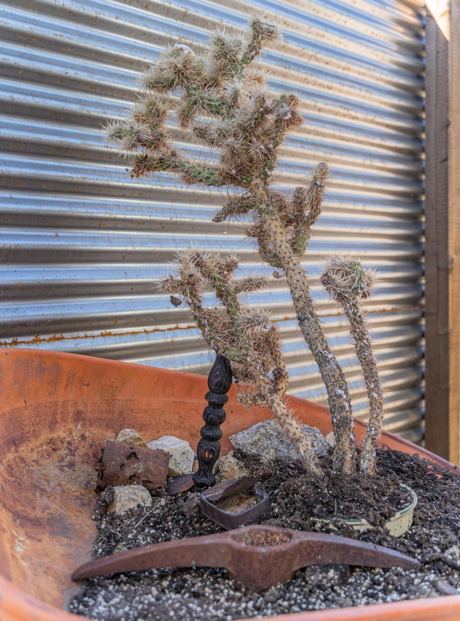 New Property! The Cactus Villas At Joshua Tree National Park - Pool, Hot Tub, Outdoor Shower, Fire Pit Twentynine Palms Habitación foto